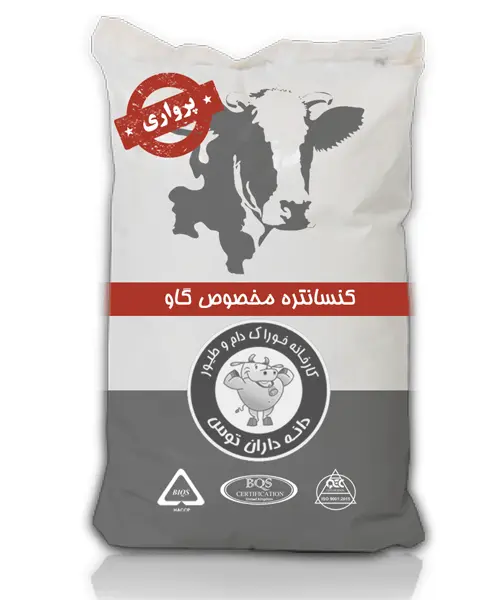 5-min-4.webp