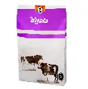 35.webp