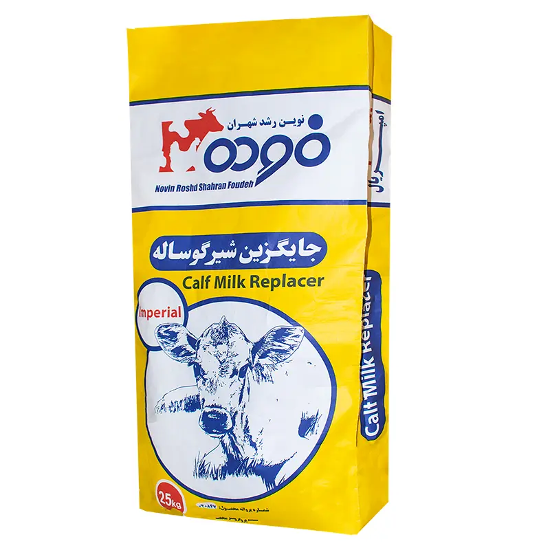 24.webp