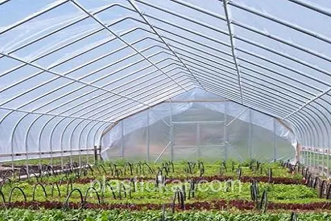 نایلون پوشش دوم گلخانه