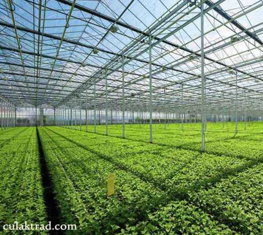 فیلم پلاستیکی گلخانه­ ای