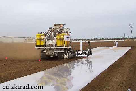 Soil Sterilization Film